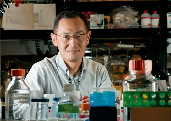 %e5%b1%b1%e4%b8%ad%e4%bc%b8%e5%bc%a5