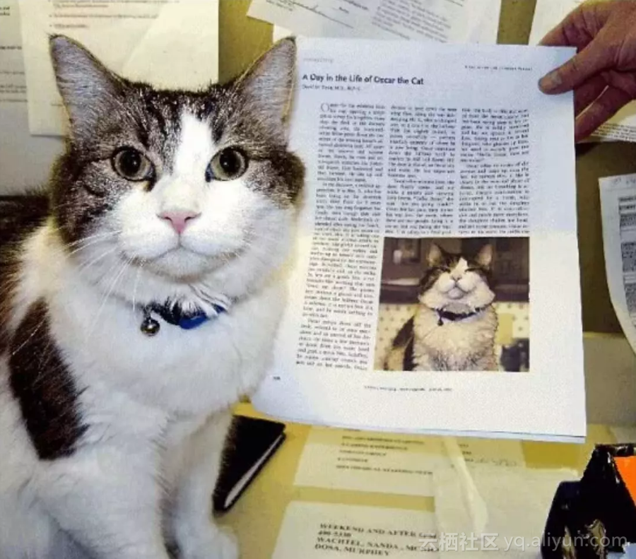 c4eafa480f771610ca517ecbb227d4a798543d63