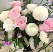 Annie君的个人资料头像