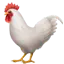 :rooster:
