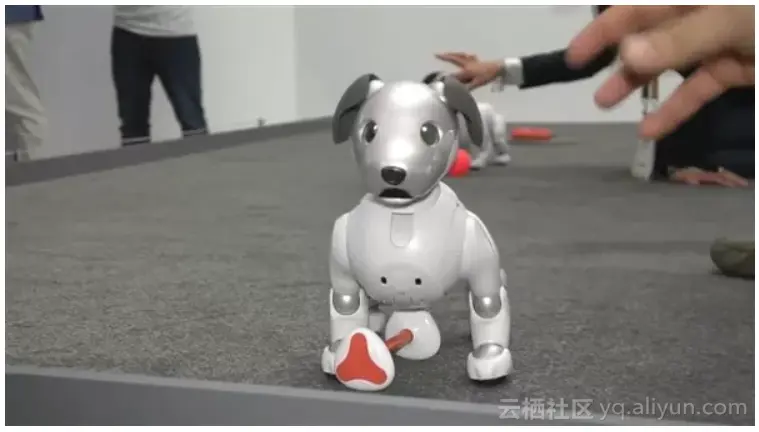 80384cac7199368d8b0b62f8c942199def61c816