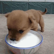 没问题就是有问题的个人资料头像