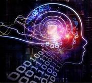 yansyjin的个人资料头像