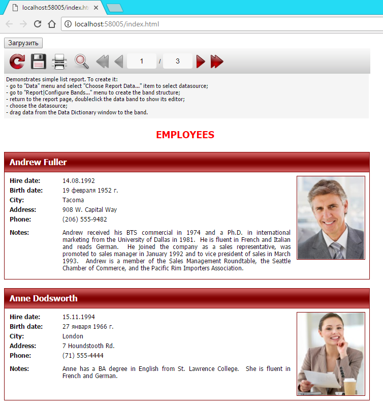 如何使用Ajax从FastReport Web API获取报表