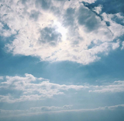 喝茶的卡尔的个人资料头像