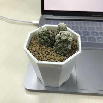JohnWick于2018-01-17 08:58发布的图片