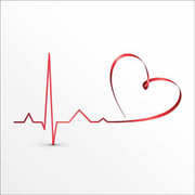 Ika的个人资料头像