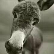 gxy716的个人资料头像