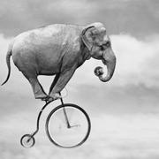 cowry的个人资料头像