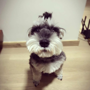 VivianOntheway的个人资料头像