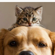 Damon_C的个人资料头像