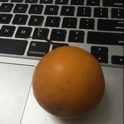 xlab的个人资料头像