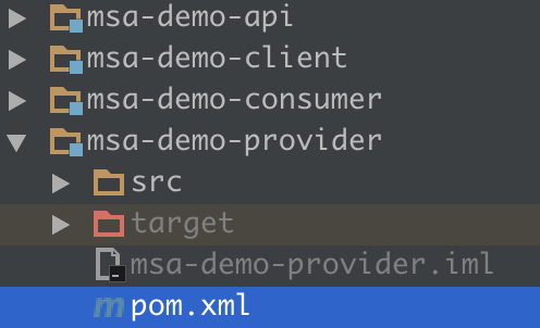 msa-demo-provider
