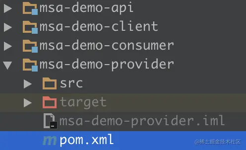 msa-demo-provider