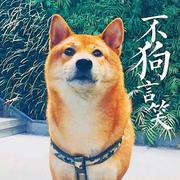 Yitache的个人资料头像