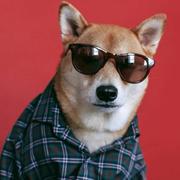 A_X_E_MK的个人资料头像