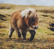 TerenceYu199737602的个人资料头像