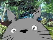 antonio19295的个人资料头像