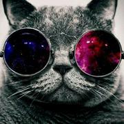 Trejo的个人资料头像