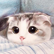 小猫先生的个人资料头像