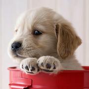 逸居的个人资料头像