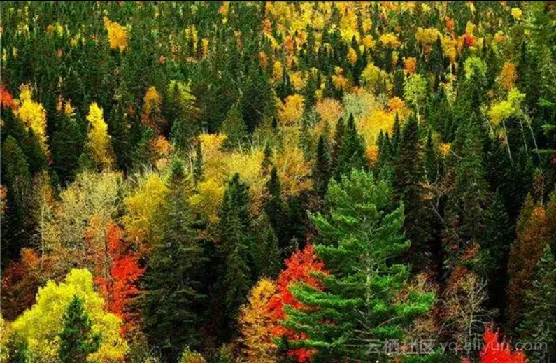 04cfde389a85d85c7b713fe2aac292c134efdb9a