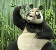 Anky的个人资料头像