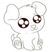 Y本尊39050的个人资料头像