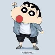 Pooky的个人资料头像