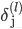 \delta _{\text{j}}^{(l)}