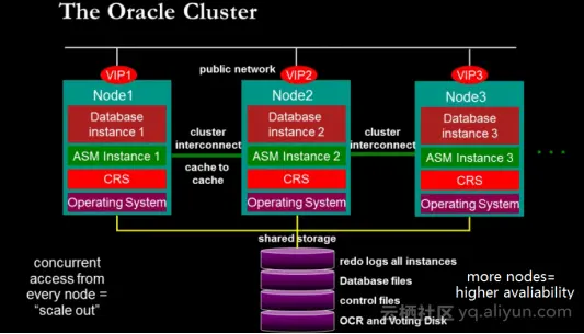 b71906db715611061707e7466d8330c1af344606