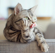 仙仙向上的个人资料头像