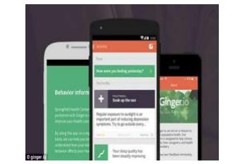 Ginger i.o 的应用 