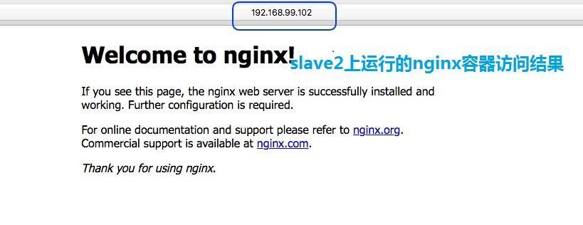 192.168.99.102（slave2）上nginx容器访问结果 