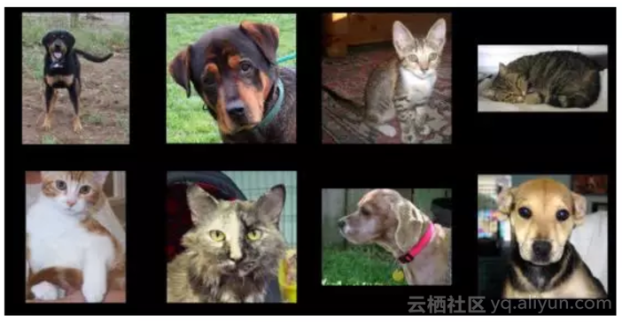 af630647120c2ba3265ddf5656b4dc9ae8d7d906