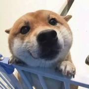 ohmylawer的个人资料头像