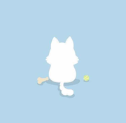 流星Meteor的个人资料头像