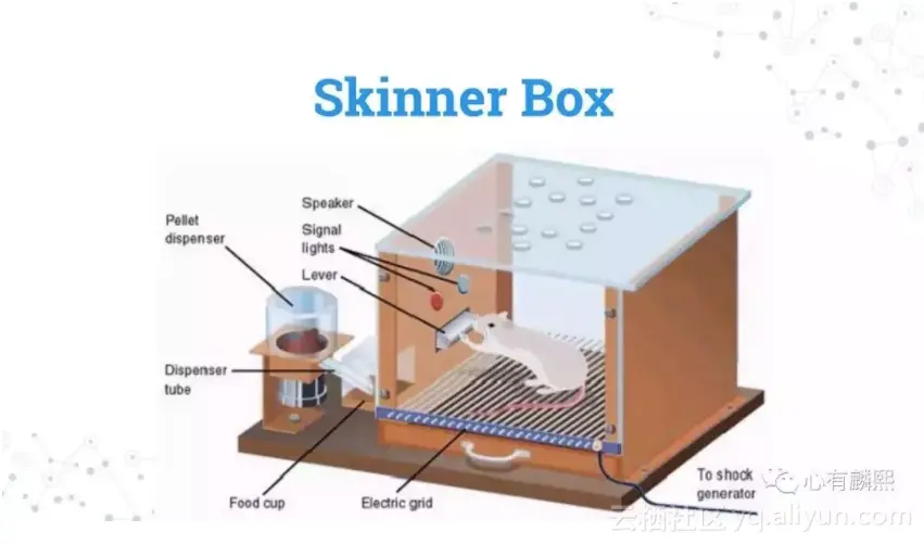 bcf4e685f4fb97197d68cfc33e0bdd7c8c0afdd0