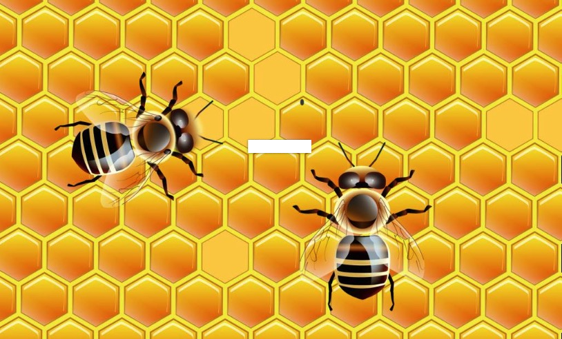 蜂巢.png
