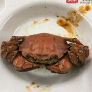 tb06t0fawfeamt7a9fdx5xexr的个人资料头像