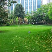 rainyblue的个人资料头像