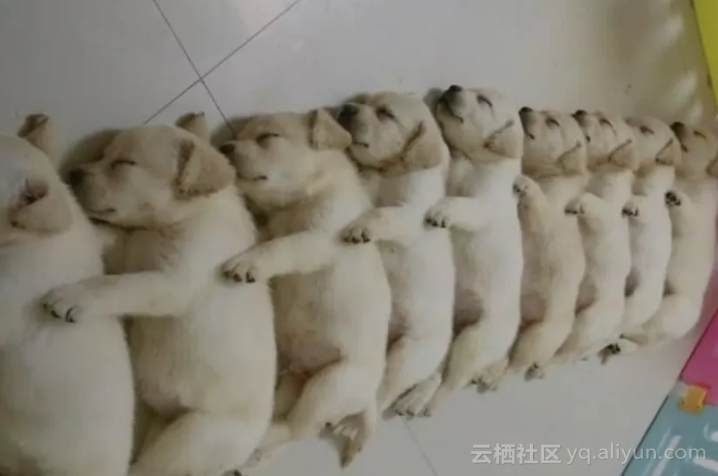 60c3f3c66093152b6296abbab8e86aaf52c127d6