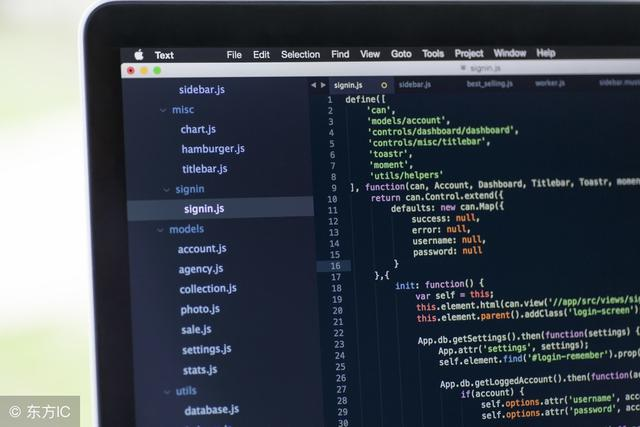 Vue.js 数据绑定与示例