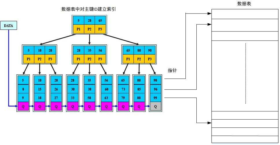 B+树和索引之间的关系