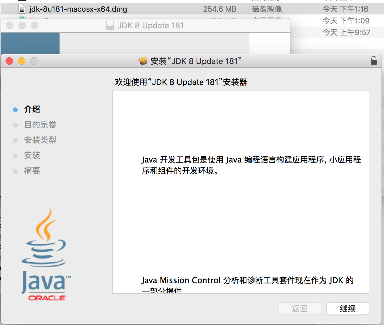点击安装后的界面