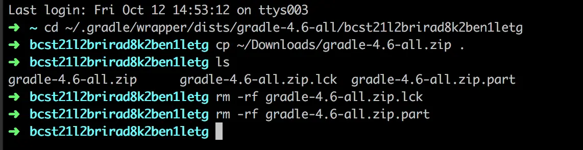 复制下载的gradle文件到目标文件夹