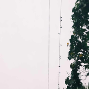 sk我怀念的的个人资料头像