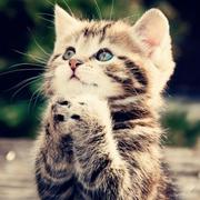 I_AM的个人资料头像