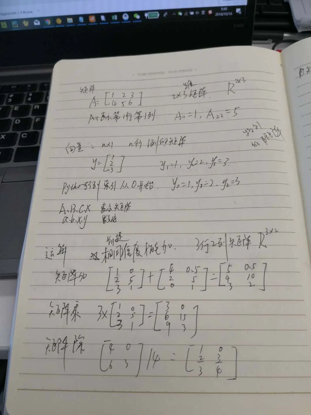 向量维度为一的矩阵