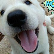 alican的个人资料头像